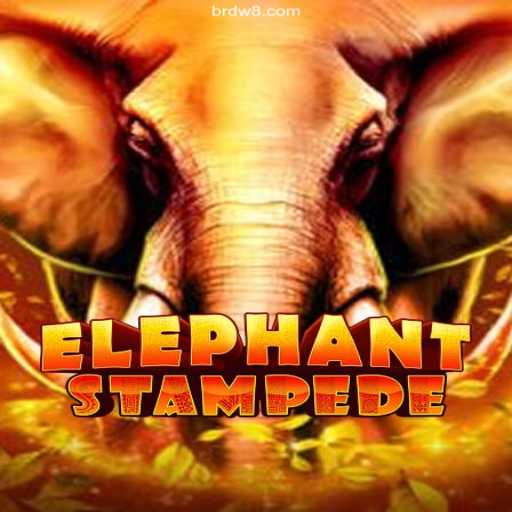 Discover ElephantStampede at DW8.COM Oficial 💯️ - O melhor cassino online do Brasil
