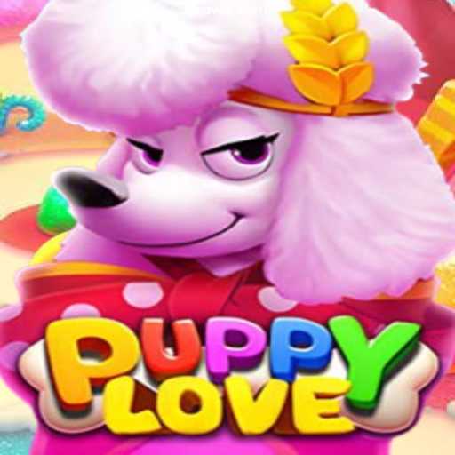 Exploring the Enchanting World of PuppyLove and Its Connection with DW8.COM Oficial 💯️ - O melhor cassino online do Brasil